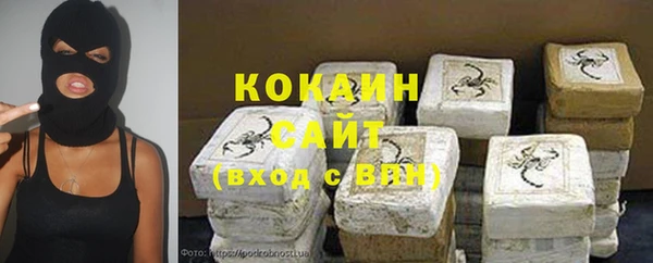 прущие грибы Кукмор