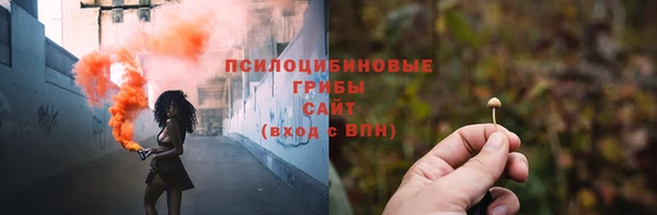 прущие грибы Кукмор