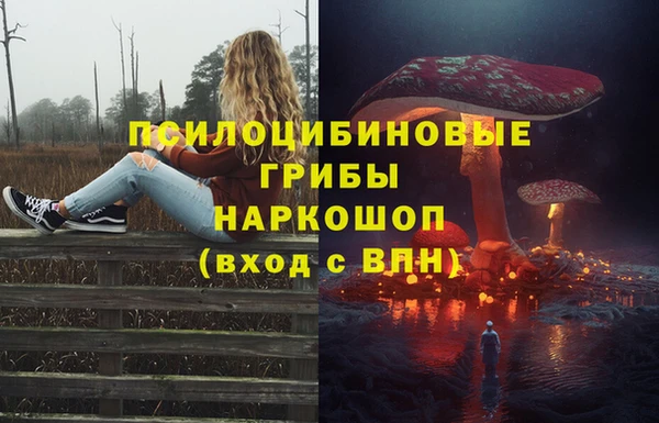 прущие грибы Кукмор