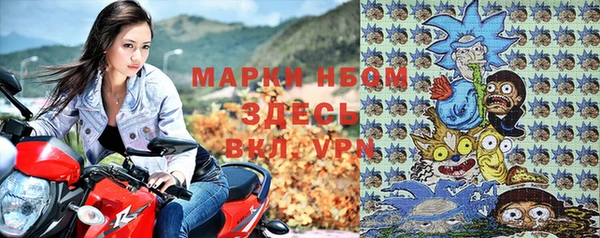 прущие грибы Кукмор