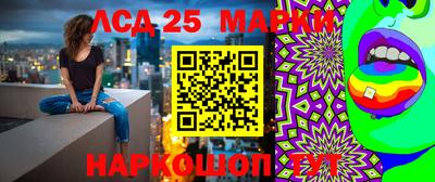 молекула духа Донецк