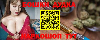 стаф Дубна