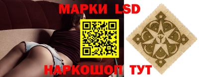 стаф Дубна