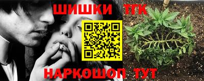 стаф Дубна