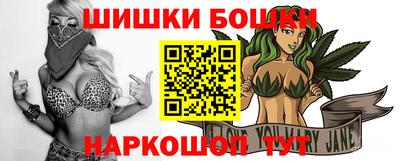стаф Дубна
