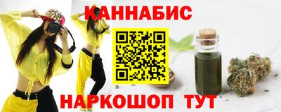 стаф Дубна
