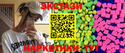стаф Дубна