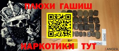 стаф Дубна