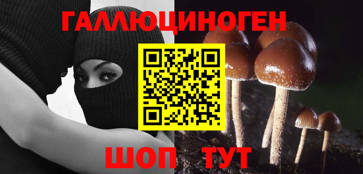 Малоярославец  Псилоцибиновые грибы прущие грибы  Вход с VPN 